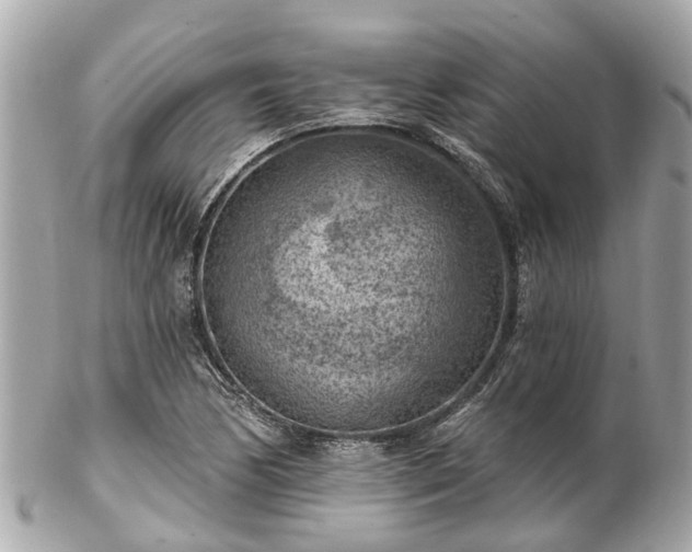 X0000102501170200808151513