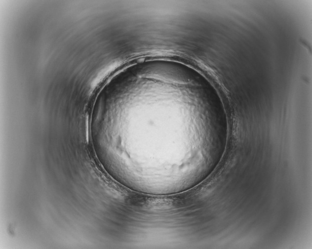 X0000102501171200808151513