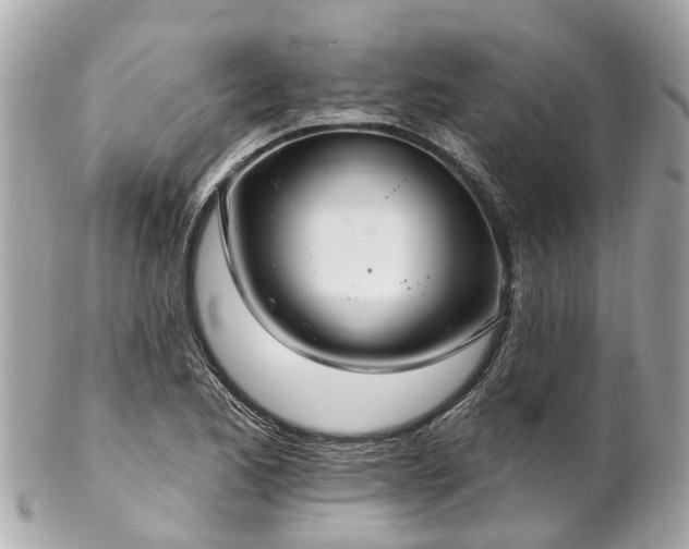 X0000102501173200808151513