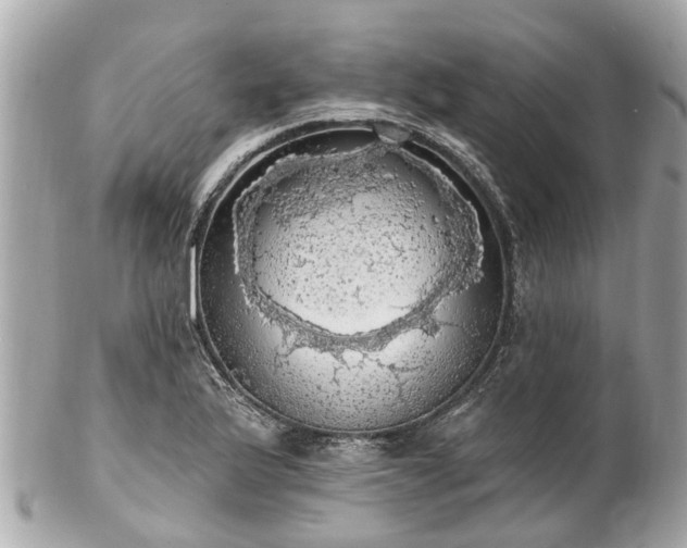 X0000102501175200808151513