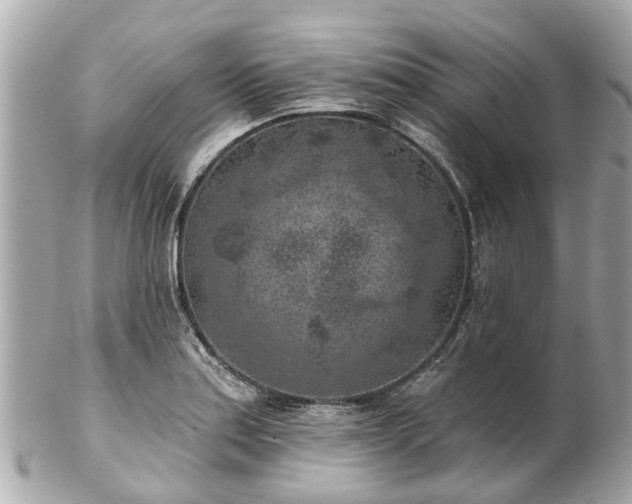 X0000102501179200808151513