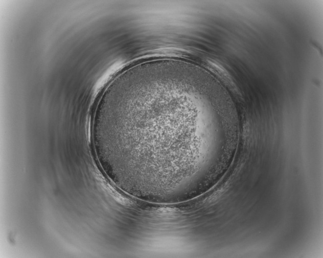 X0000102501180200808151513