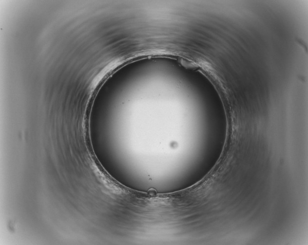 X0000102501181200808151513