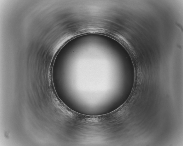 X0000102501182200808151513