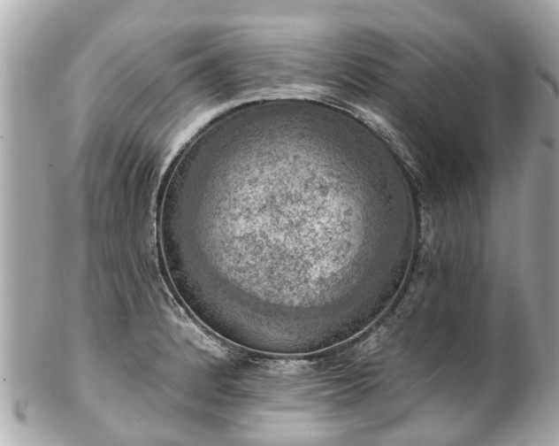 X0000102501184200808151513