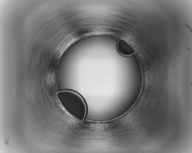 X0000102501185200808151513