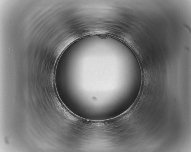 X0000102501186200808151513