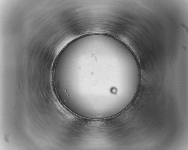 X0000102501187200808151513