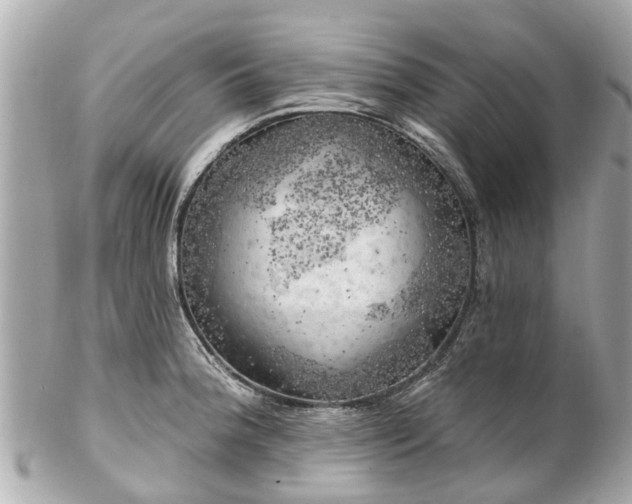 X0000102501188200808151513