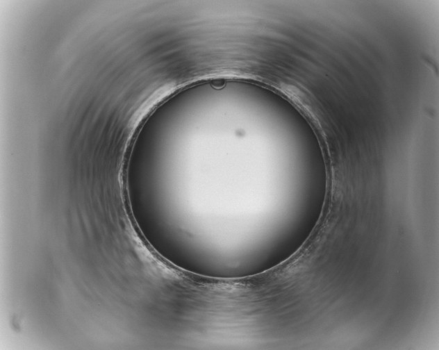 X0000102501189200808151513