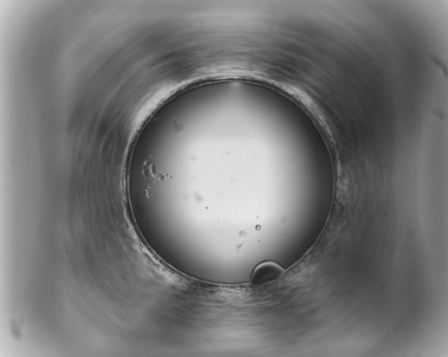 X0000102501191200808151513