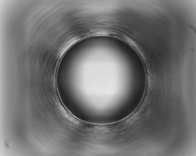 X0000102501194200808151513