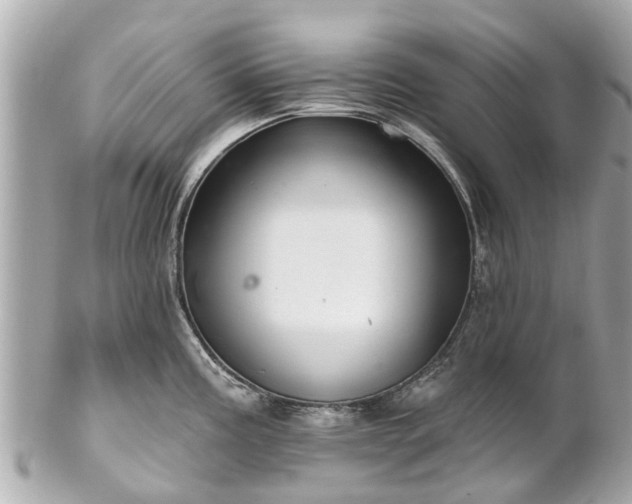 X0000102501195200808151513