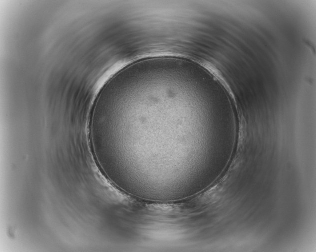 X0000102501197200808151513