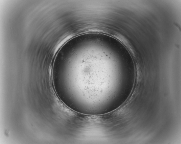 X0000102501198200808151513