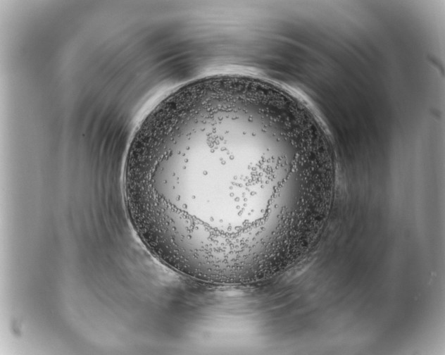 X0000102501199200808151513