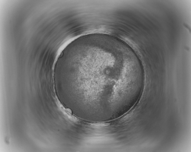 X0000102501200200808151513