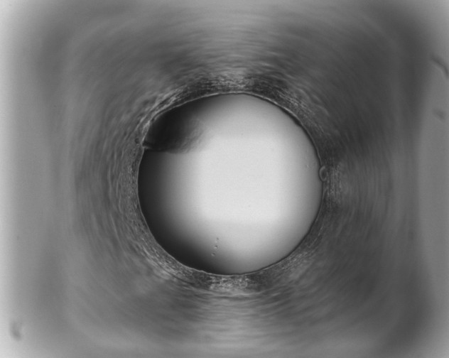 X0000102501201200808151512