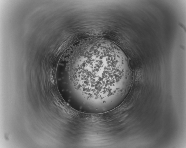 X0000102501202200808151512