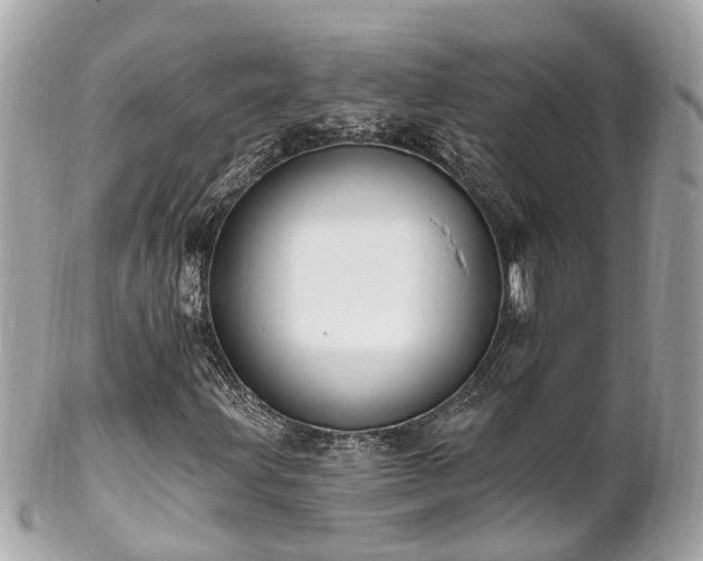 X0000102501203200808151512