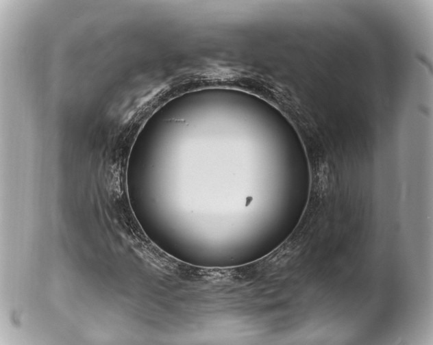 X0000102501205200808151512