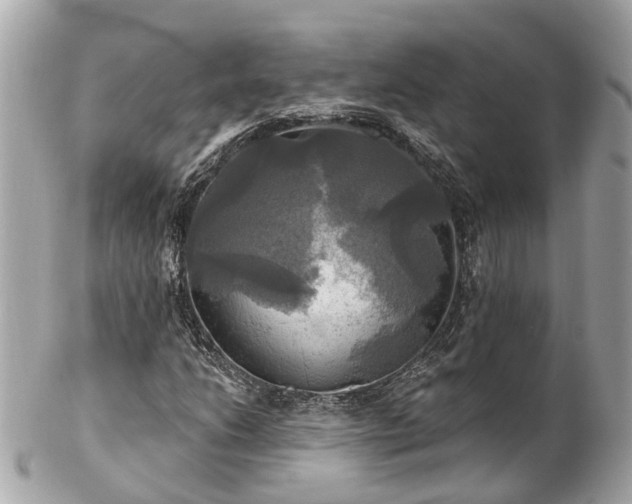 X0000102501206200808151512