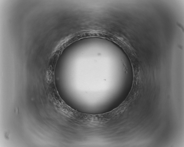 X0000102501207200808151512