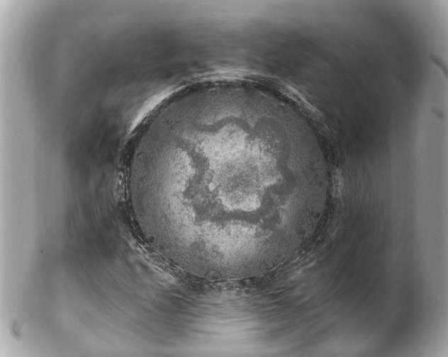 X0000102501208200808151512