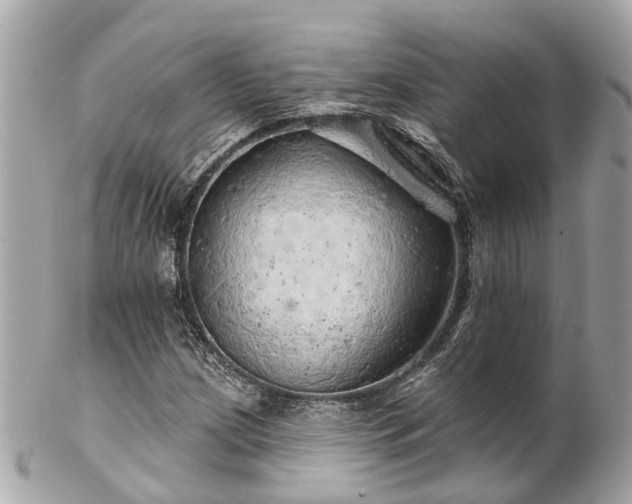 X0000102501209200808151512