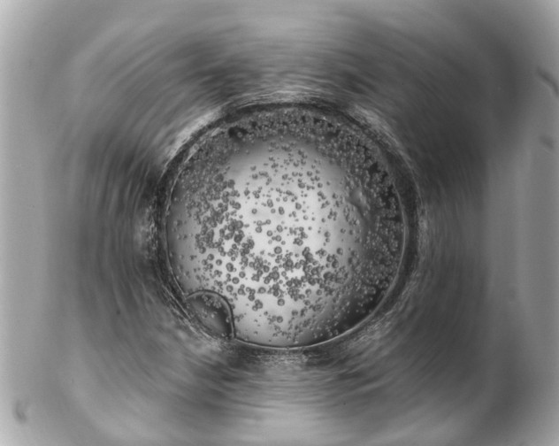 X0000102501210200808151512