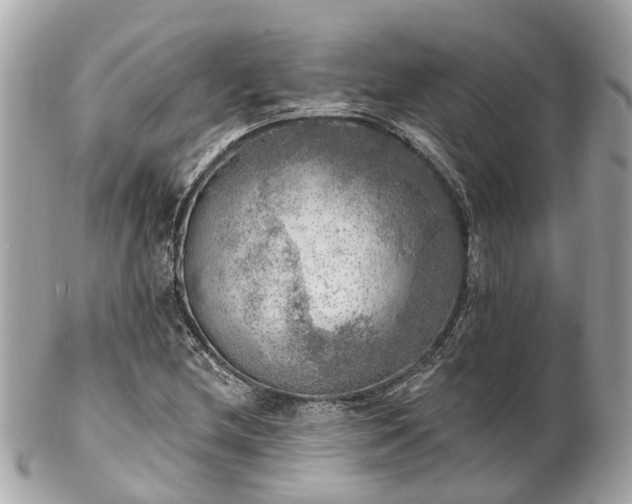 X0000102501212200808151512