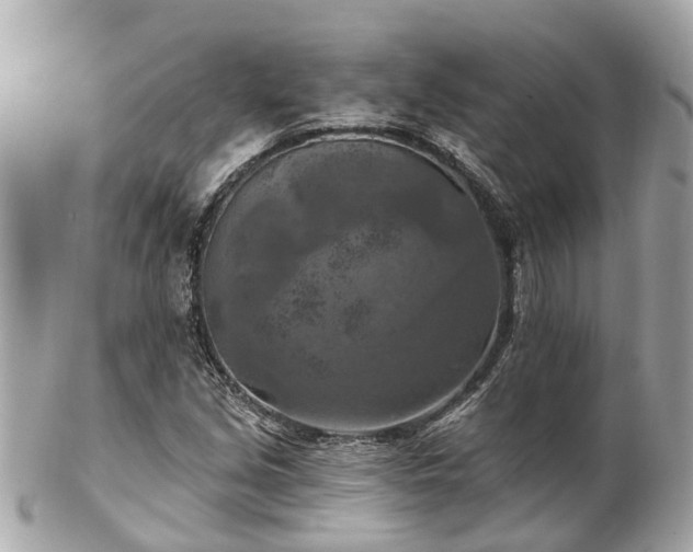 X0000102501213200808151512