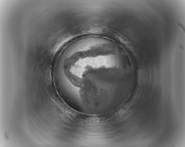 X0000102501214200808151512