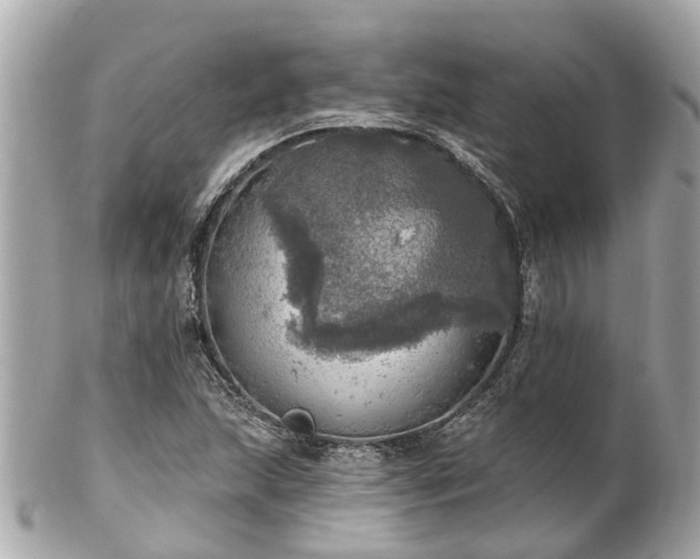 X0000102501215200808151512