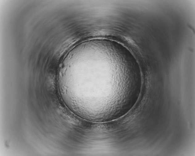 X0000102501217200808151512