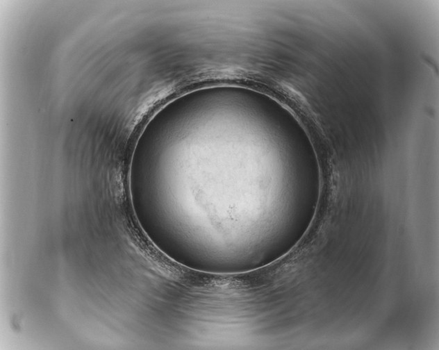 X0000102501218200808151512