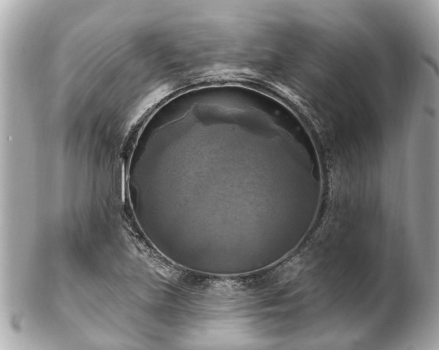 X0000102501219200808151512