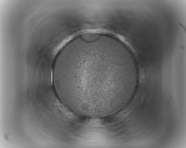 X0000102501221200808151512