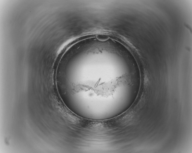 X0000102501222200808151512