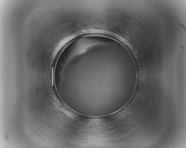 X0000102501223200808151512