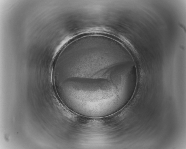 X0000102501224200808151512