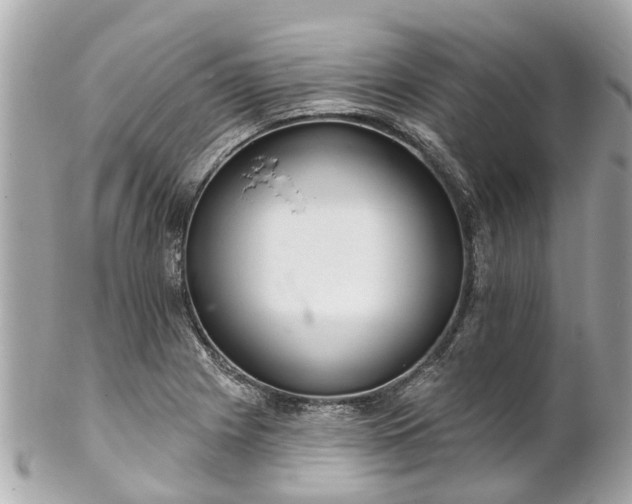 X0000102501225200808151512