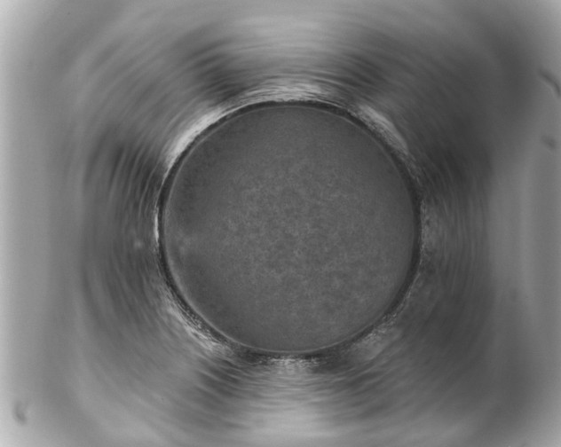 X0000102501226200808151512