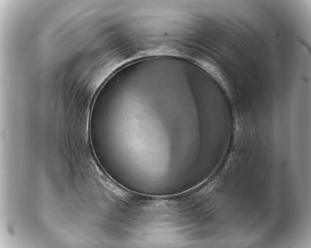 X0000102501228200808151512