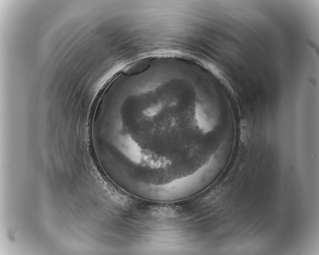 X0000102501229200808151512