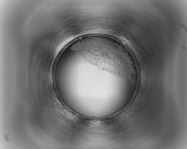 X0000102501230200808151512