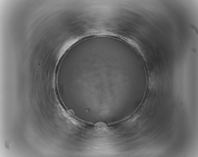 X0000102501231200808151512