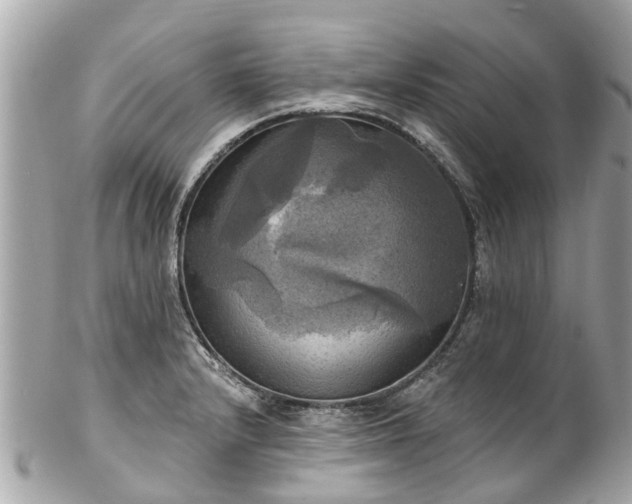 X0000102501232200808151512