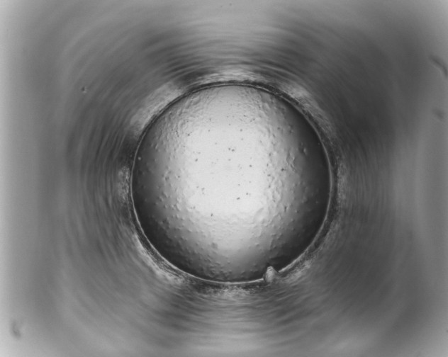 X0000102501233200808151512