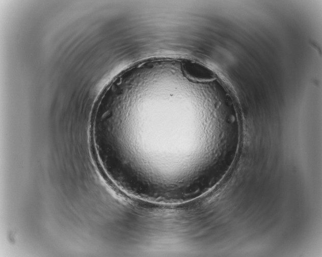 X0000102501237200808151512